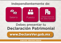 Evita sanciones y cumple con la Declaración Patrimonial
