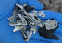 Localizan otro campo de exterminio humano activo en Reynosa