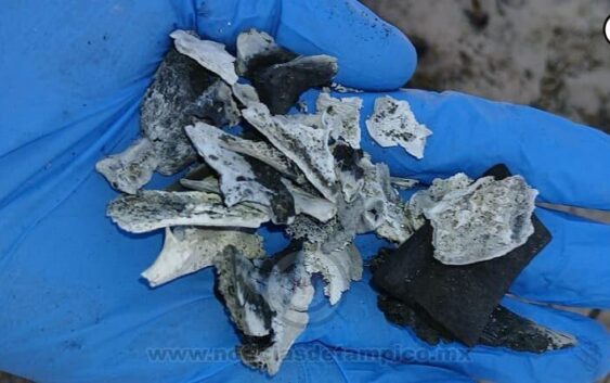 Localizan otro campo de exterminio humano activo en Reynosa