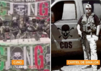 De Sinaloa al mundo: Historia y economía del narcotráfico en México