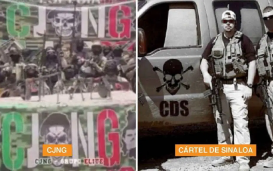 De Sinaloa al mundo: Historia y economía del narcotráfico en México