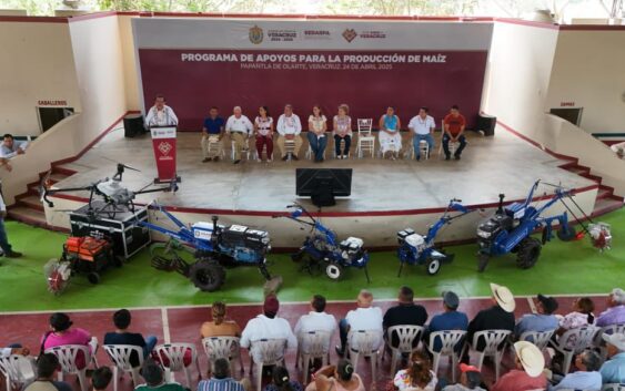 Anuncia Rocío Nahle precio de garantía de 7 mil pesos por tonelada de maíz