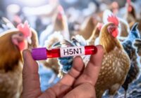IMSS Veracruz Sur informa sobre Influenza A oGripe Aviar H5N1