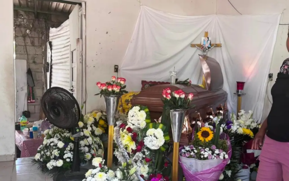 Aflige caso de Marion, porque denunció antes de ser asesinada en Veracruz: Colmena Verde