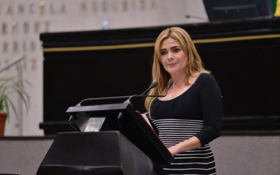 Panistas en guerra por Boca