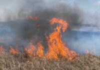Atienden Bomberos 16 incendios de pastizales en un solo día en Coatzacoalcos