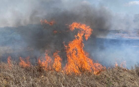 Atienden Bomberos 16 incendios de pastizales en un solo día en Coatzacoalcos
