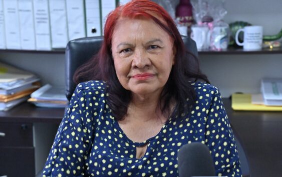 Se multiplican purificadoras de agua; debe revisarse licencias sanitarias, pide diputada