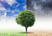 IMSS Veracruz Sur informa sobre afectaciones a la salud por el cambio climático