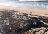 Derrame en Dos Bocas: ASEA exige a Pemex explicación