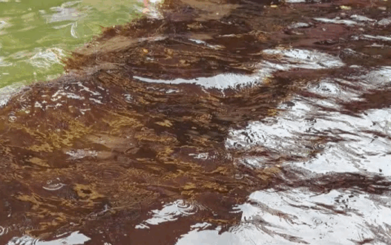 Derrame de hidrocarburo en río Coatzacoalcos