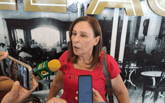 Garantizar elecciones tranquilas: Rocío Nahle