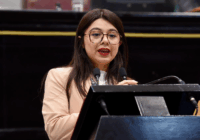 Aspirantes a cargos de elección deberán cumplir con obligaciones alimentarias
