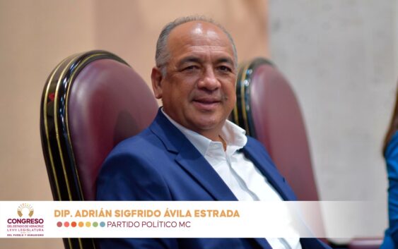 Alcaldes electos deben capacitarsey no improvisar: Diputado Adrián Ávila