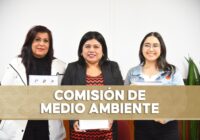 Abierta, convocatoria para otorgar el premio al Mérito Ambiental 2025