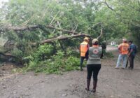 Veracruz coordina respuesta integral por lluvias; Federación y Estado refuerzan acciones