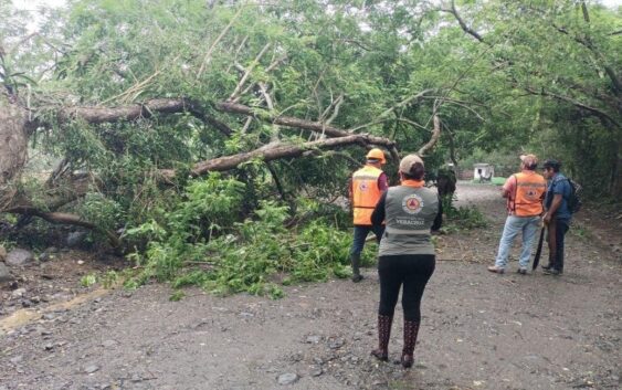 Veracruz coordina respuesta integral por lluvias; Federación y Estado refuerzan acciones