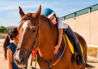 Equinoterapia un tratamiento que ayuda a mejor la calidad de vida