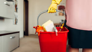 IMSS Veracruz Sur invita al esquema de incorporación para Personas Trabajadoras del Hogar