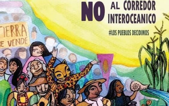 Corredor Interoceánico omite restauración ambiental