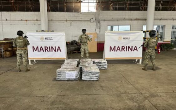 Marina en apoyo a la Aduana Marítima asegura aproximadamente 346.10 kilogramos de presunta marihuana en Veracruz
