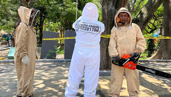 CAZARÍN Y SU DESMADRE CON LAS ABEJITAS CHIQUITITAS!