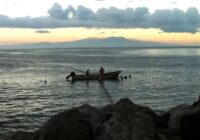 Inicia veda de robalo blanco y robalo prieto en Veracruz y Tabasco