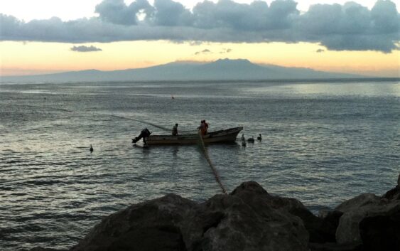 Inicia veda de robalo blanco y robalo prieto en Veracruz y Tabasco