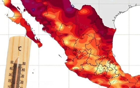 Canícula 2025: este día ingresa y así podría afectar a Veracruz
