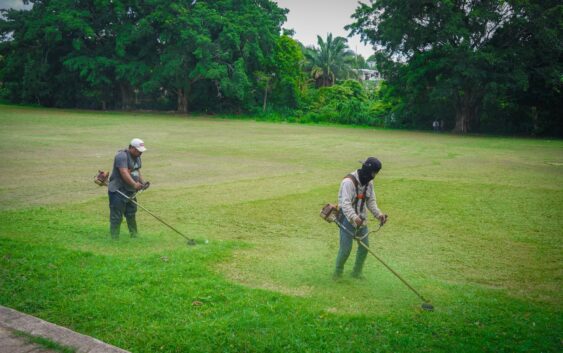 Intensa jornada de poda, limpieza y mantenimiento de pasto en los campos de Cosoleacaque.
