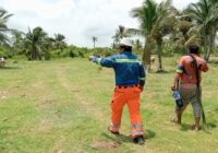 Se organizan para capturar felino que ha atacado animales en zona rural de Coatzacoalcos