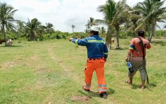 Se organizan para capturar felino que ha atacado animales en zona rural de Coatzacoalcos