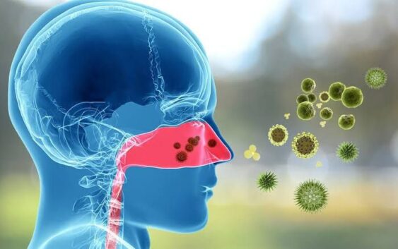 Invita IMSS Veracruz Sur a informarse para prevenir y tratar enfermedades alérgicas