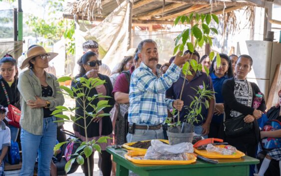 Ayuntamiento de Cosoleacaque te invita a adoptar un árbol.