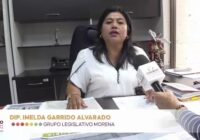 Alistan terna en el Congreso para entrega del Premio al Mérito Ambiental 2025