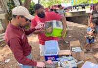 Impulsan en Coatzacoalcos la salud pública con jornada de vacunación canina y felina