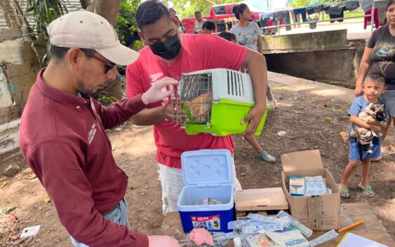 Impulsan en Coatzacoalcos la salud pública con jornada de vacunación canina y felina