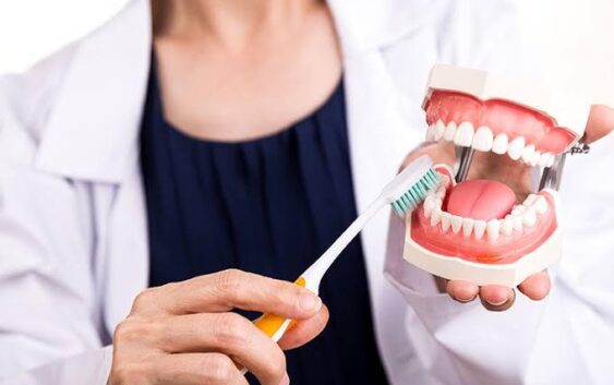 Invita IMSS Veracruz Sur a Segunda Feria de Salud Bucal 2025