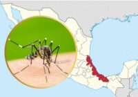 Veracruz libre de muertes por dengue en 2025