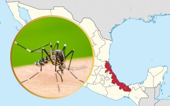 Veracruz libre de muertes por dengue en 2025