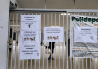 Profesores de la Normal Veracruzana toman la institución