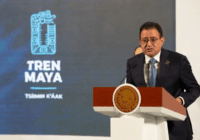 La Sedena busca tirar 259 hectáreas más de selva para hacer rentable el Tren Maya