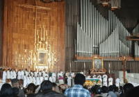 𝑺𝒂𝒏 𝑨𝒏𝒅𝒓é𝒔 𝑻𝒖𝒙𝒕𝒍𝒂 𝑷𝒆𝒓𝒆𝒈𝒓𝒊𝒏𝒂 𝒂 𝒍𝒂 𝑩𝒂𝒔í𝒍𝒊𝒄𝒂 𝒅𝒆 𝑮𝒖𝒂𝒅𝒂𝒍𝒖𝒑𝒆 𝒄𝒐𝒏 𝑭𝒆 𝒚 𝑨𝒍𝒆𝒈𝒓í𝒂.