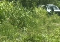 ¿De moda?: Hallan otra mujer muerta en Álamo, en menos de 24 horas