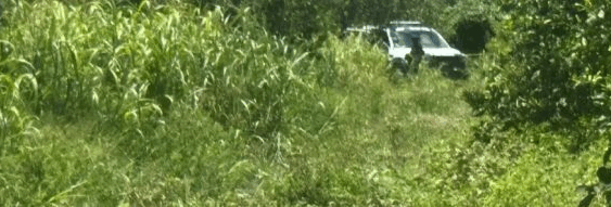 ¿De moda?: Hallan otra mujer muerta en Álamo, en menos de 24 horas