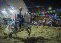 Caballos bailadores presentes en la Expo Ganadera 2025.