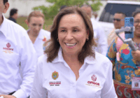 Gobernadora Rocío Nahle convoca reunión urgente tras caso de gusano barrenador en Veracruz