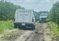 Reportan hallazgo de 6 cuerpos en fosa clandestina al norte de Veracruz