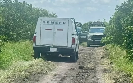 Reportan hallazgo de 6 cuerpos en fosa clandestina al norte de Veracruz