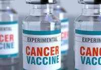 Rusia creó una vacuna contra el cáncer: es personalizada y ya comenzó a aplicarse en ensayos clínicos con humanos